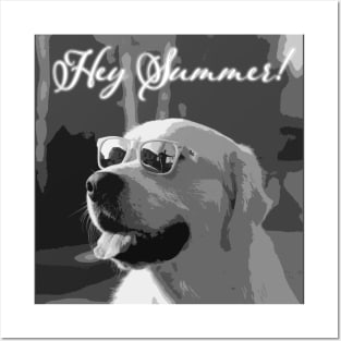 Dog-Summer Posters and Art